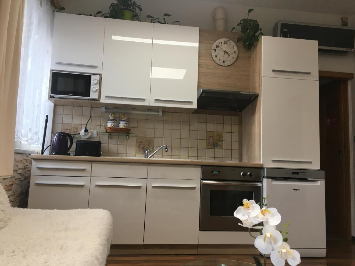 Apartment Hlinska Ceske Budejovice Dış mekan fotoğraf