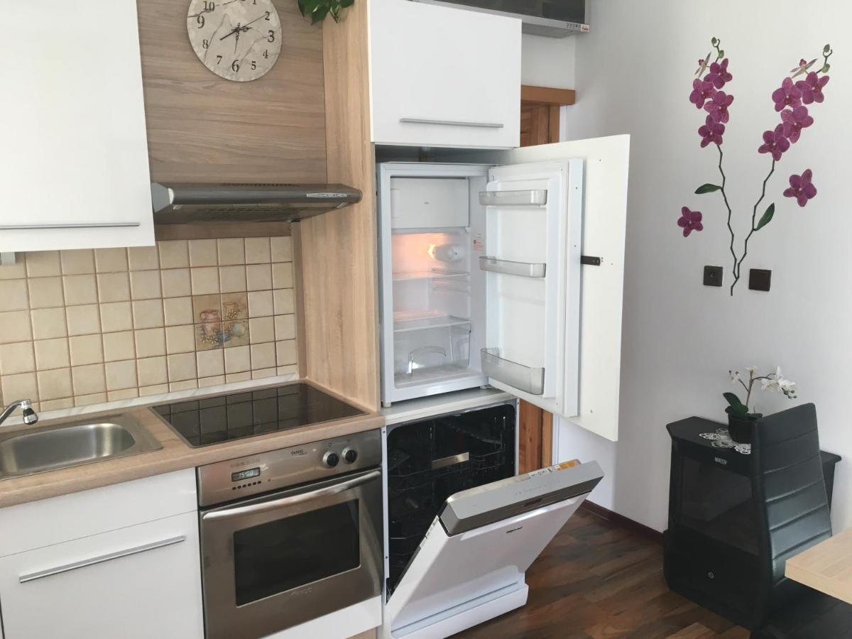 Apartment Hlinska Ceske Budejovice Dış mekan fotoğraf