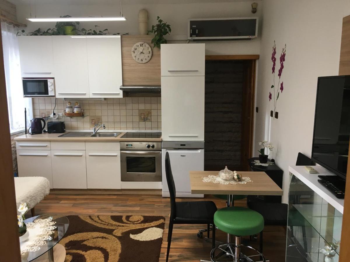 Apartment Hlinska Ceske Budejovice Dış mekan fotoğraf