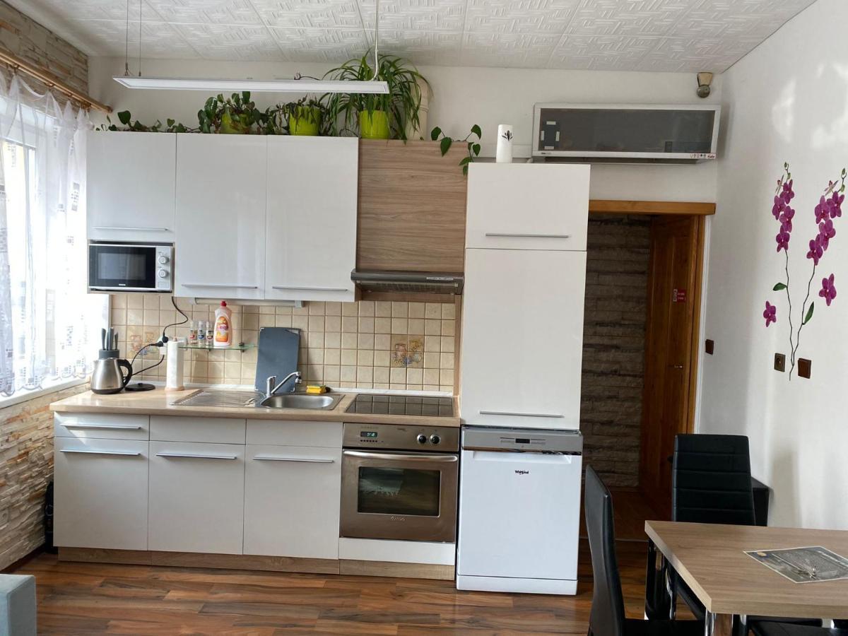 Apartment Hlinska Ceske Budejovice Dış mekan fotoğraf