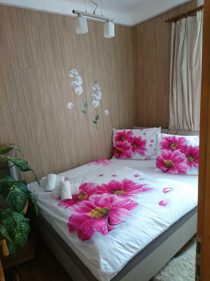 Apartment Hlinska Ceske Budejovice Dış mekan fotoğraf